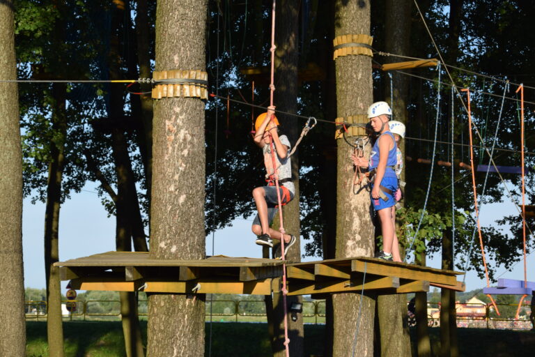Read more about the article Park linowy