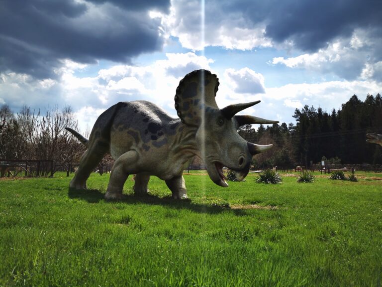 Read more about the article Ścieżka edukacyjna „Dinozaury – Krasnobród”