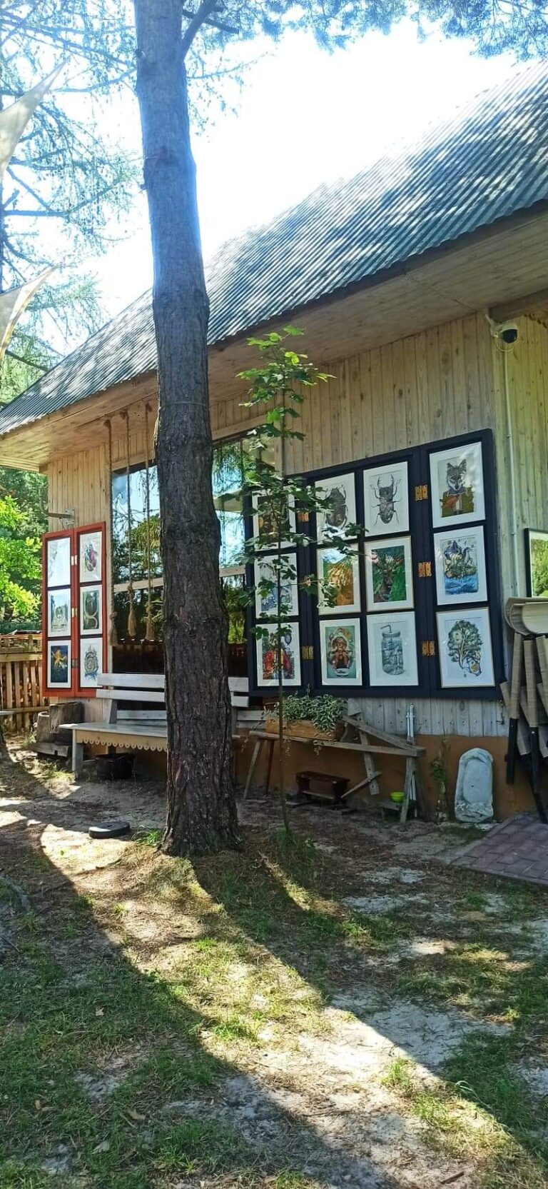 Read more about the article Galeria Szur